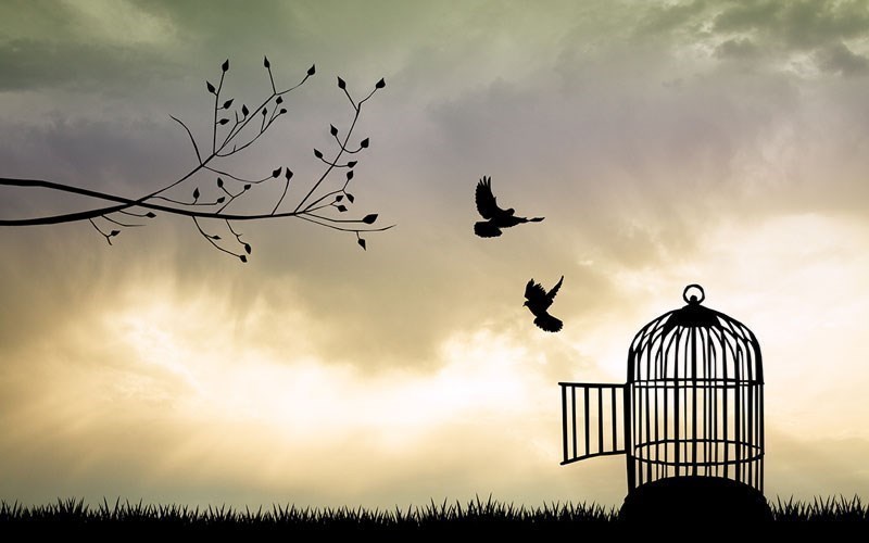 Be free