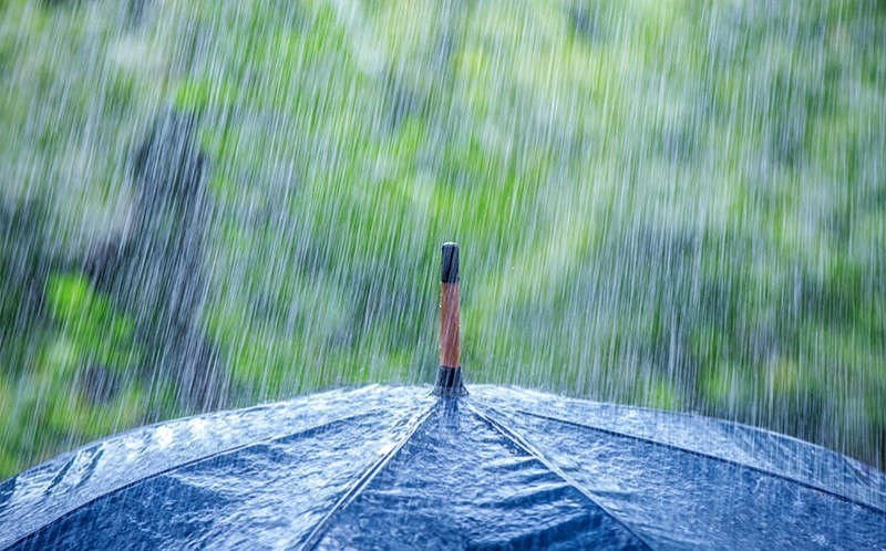Seeking shelter
