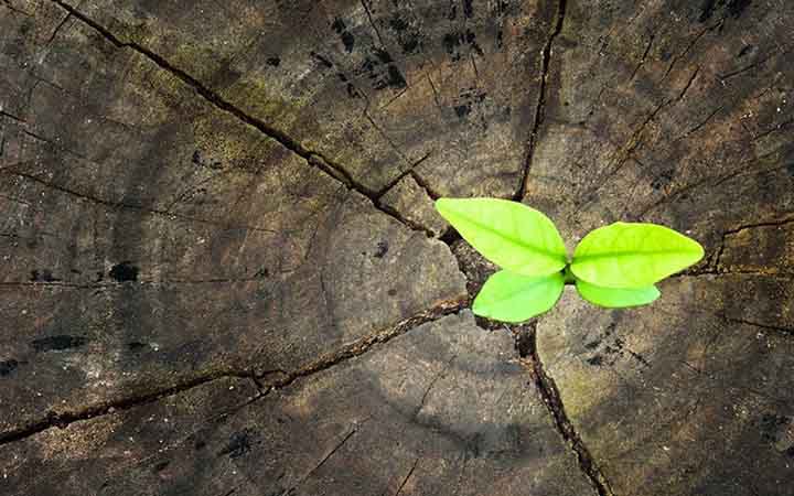 The reward of hope
