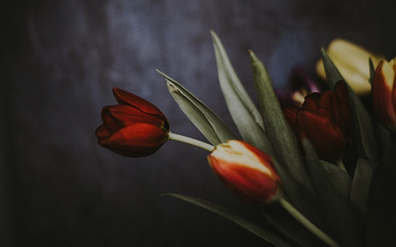 Only for you