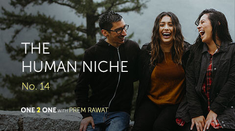 One 2 One, No. 14 – The Human Niche